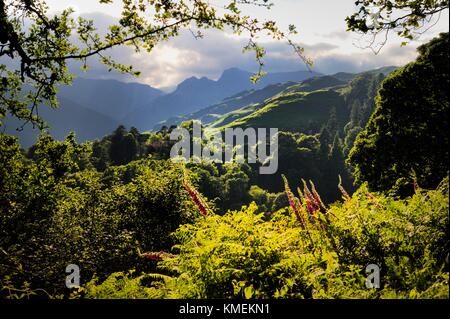 Langdale Pikes Am oberen Langdale Valley im Herzen des Lake District National Park, Cumbria, England. Nordwestlich von Loughrigg anzeigen Stockfoto