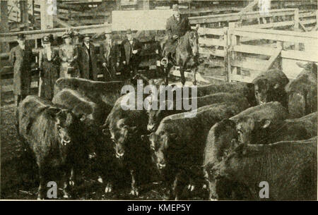 "Typen und Klassen von Live Stock" (1916) Stockfoto