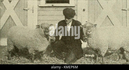 "Typen und Klassen von Live Stock" (1916) Stockfoto