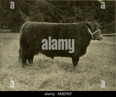 "Typen und Klassen von Live Stock" (1916) Stockfoto