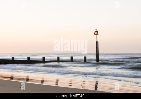 Eine Szene am Bournemouth Beach mit einer Möwe, die auf einem Pol eines Wellenbrechers in weichem frühen Morgenlicht sitzt. Stockfoto