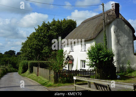 Reetdachhaus in Broadwood Kelly, Devon, Großbritannien Stockfoto