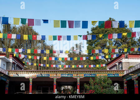 Mehrere buddhistische Gebetsfahnen im Norbulingka Institut in der Nähe von Dharamshala, Indien fliegen hoch. Stockfoto