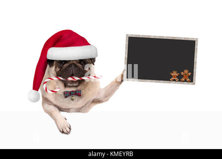 Süße Weihnachten mops Hund mit Weihnachtsmütze und Candy Cane, Holding blankboard Anmelden paw, auf weißem Hintergrund Stockfoto