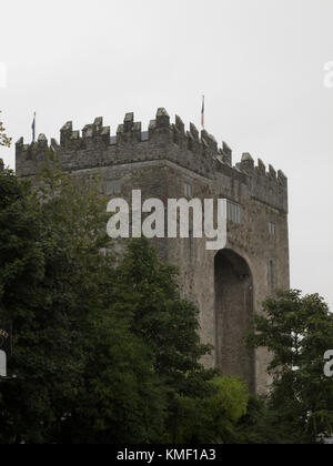 Bunratty Castle im County Clare Irland Stockfoto