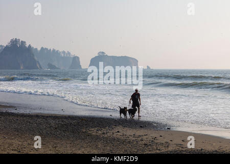 Riatlo Strand am Pazifik in Olympic National Park an der Küste des Staates Washington in den Vereinigten Staaten Stockfoto