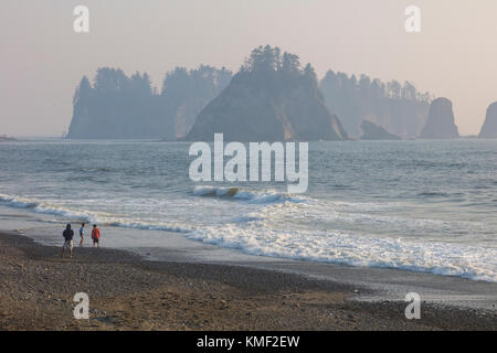 Riatlo Strand am Pazifik in Olympic National Park an der Küste des Staates Washington in den Vereinigten Staaten Stockfoto