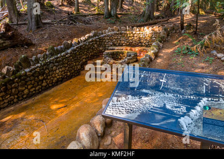 Rusty Springs auf dem Longmire Meadow Trail im Mt. Rainier National Park im US-Bundesstaat Washington Stockfoto