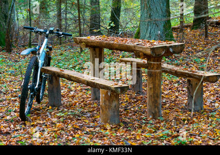 In den Wald mit dem Rad um einen Holztisch mit Bänken Stockfoto