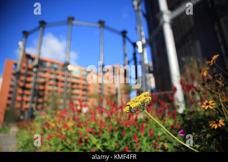 Die neuen Apartments im Kings Cross Gasholders, im Norden von London, England, Großbritannien Stockfoto