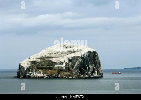 Bass Rock Leuchtturm und Tölpel Vogelschutzgebiet im Firth of Forth in der Nähe von Dunbar, Lothian, Schottland, Vereinigtes Königreich Stockfoto