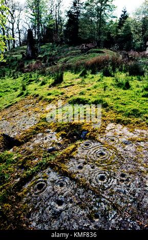 Schale und Ring mark Markiert Prähistorische Felszeichnungen aus der Jungsteinzeit auf natürlichen Felsvorsprung in Poltalloch in Kilmartin Valley, Argyll, Schottland, Großbritannien Stockfoto