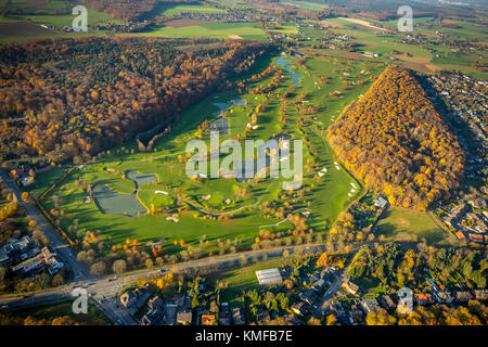 Golfclub bin Kloster-Kamp, Grüns, Bunker, Hecken, Kamp-Lintfort, Ruhrgebiet, Niederrhein, Nordrhein-Westfalen, Deutschland Stockfoto