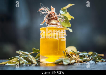 Murraya koenigii, Curry Blätter mit Erdöl in einer transparenten Flasche. Konzept für die Pflege von Haut und Haar. Stockfoto