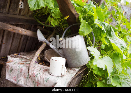 Einen sehr alten, verlassenen Hof - Kürbis wächst, alle für die Bewässerung. Stockfoto