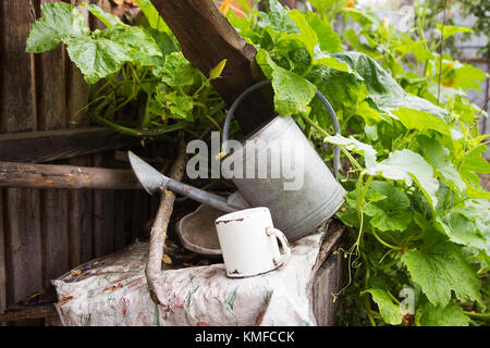 Einen sehr alten, verlassenen Hof - Kürbis wächst, alle für die Bewässerung. Stockfoto