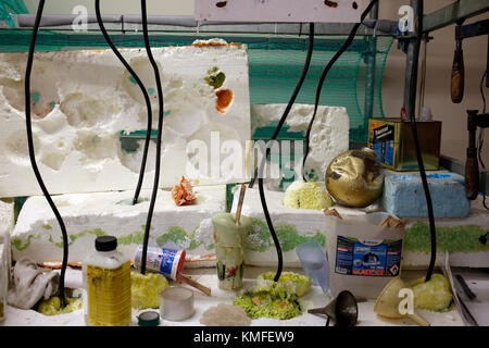 Kristof Kintera - nervös Bäume Kunst Ausstellung in der Galerie Rudolfinum in Prag Stockfoto