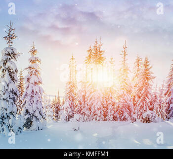 Geheimnisvolle Winterlandschaft majestätische Berge im Winter. Magischen winter schnee Baum. Foto Grußkarte. Bokeh Lichteffekt, weiche Filter. Karpfen Stockfoto