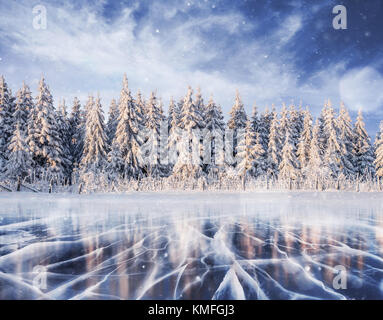 Magischen winter schnee Baum. Winterlandschaft. Stockfoto