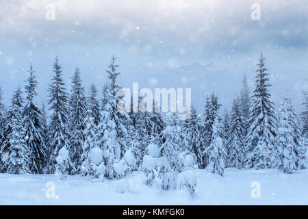 Geheimnisvolle Winterlandschaft majestätische Berge im Winter. Magischen winter schnee Baum. Foto Grußkarte. Bokeh Lichteffekt, weiche Filter. Karpfen Stockfoto