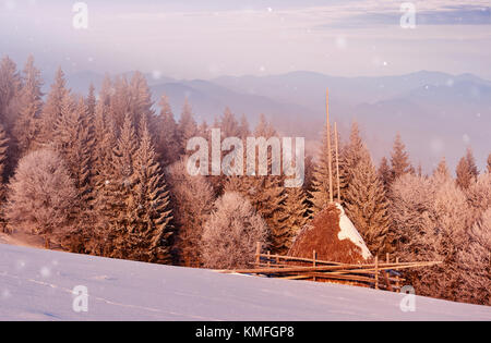 Sonnigen morgen Szene im Bergwald. Helle Winterlandschaft in den verschneiten Wald, Frohes neues Jahr feier Konzept. Stockfoto