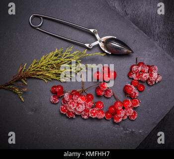 Reifen roten Beeren der viburnum ist bestreut mit Zucker Stockfoto