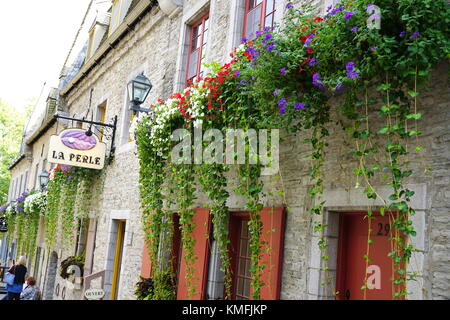 Bunte pflanzen Kaskadierung der gepflasterten Wände in den Petit-Champlain Historic District (Quartier du Petit), Old Quebec City, QC, Kanada Stockfoto