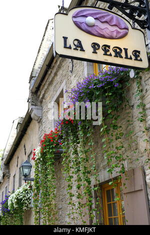 Bunte pflanzen Kaskadierung der gepflasterten Wände in den Petit-Champlain Historic District (Quartier du Petit), Old Quebec City, QC, Kanada Stockfoto