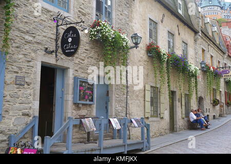 Bunte pflanzen Kaskadierung der gepflasterten Wände in den Petit-Champlain Historic District (Quartier du Petit), Old Quebec City, QC, Kanada Stockfoto