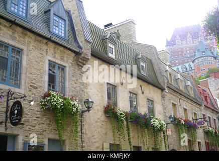 Bunte pflanzen Kaskadierung der gepflasterten Wände in den Petit-Champlain Historic District (Quartier du Petit), Old Quebec City, QC, Kanada Stockfoto