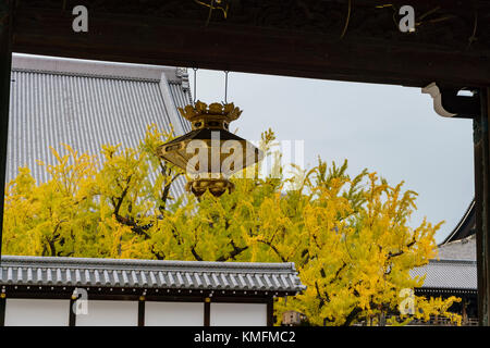 Schöne antike Lampe und Ginkgo Baum in Gelb auf Herbst, Nishi Hongan-ji, Kyoto, Japan Stockfoto