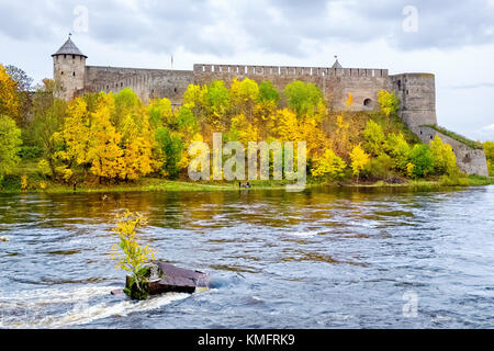 Blick auf die alte Festung Iwangorod auf dem rechten Ufer der Fluss Narva. Russland Stockfoto