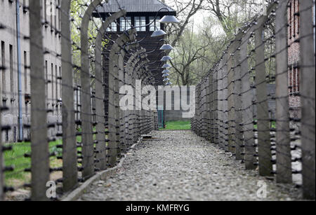 Elektrischen Zaun im ehemaligen NS-Konzentrationslager Auschwitz I, Polen Stockfoto