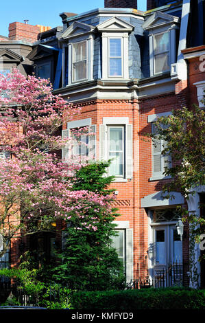 Viktorianische Architektur und Feder Farben in Back Bay, Boston Stockfoto