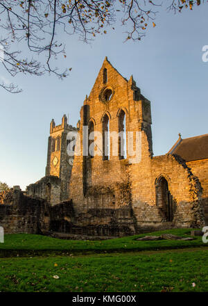 KILWINNING, SCHOTTLAND - NOVEMBER 12 2017: Die Ruinen der Kilwinning Abbey während der goldenen Stunde. Diese Abtei war die Heimat der tironensischen Mönche. Stockfoto