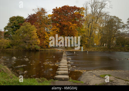 Trittsteine auf dem Fluss Wear in Stanhope, gewohnt in der Grafschaft Durham, North East England. Stockfoto