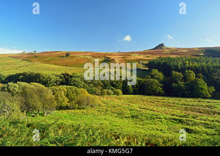 Lange Felsen, Langleford, Harthope Tal, Northumberland Stockfoto