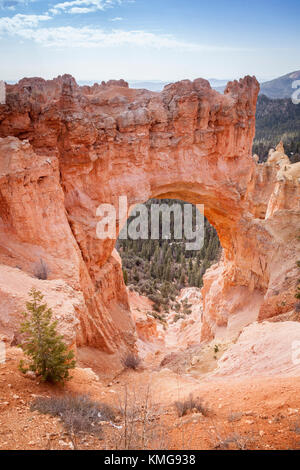 Natürliche Brücke, technisch einen Bogen, eine Felsformation im Bryce Canyon National Park, Utah. Stockfoto