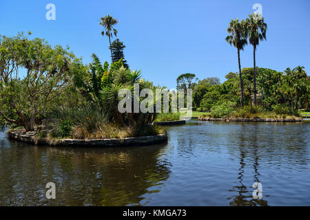 Der Teich in Königlicher botanischer Garten Sydney, New South Wales, Australien Stockfoto