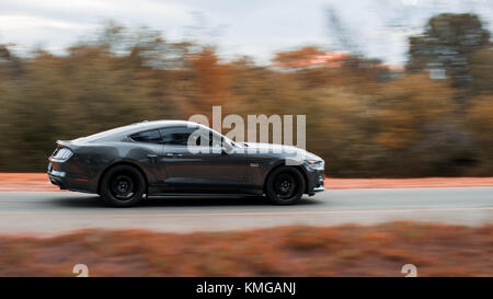 Ford mustang Stockfoto