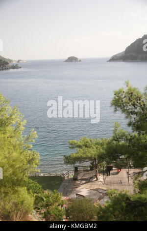 Die Türkei, Türkische Riviera, Marmaris, Armutalen Berg, Honigtau Pinien, von dem Honig lokal produziert wird. Stockfoto