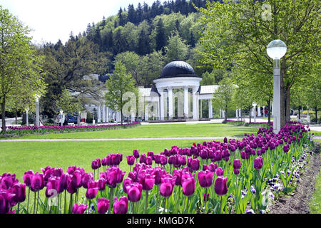 In Marianske Lazne, Tschechische Republik - 19 Mai, 2012: carolina Sprudelkolonnade im historischen Stadtzentrum. Spa für die Eintragung in die UNESCO-Liste nominiert. Stockfoto