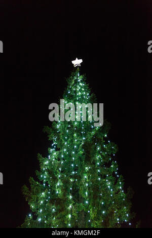 Trafalgar Square, London, 7. Dez 2017. Die jährlichen Trafalgar Square Weihnachtsbaum Beleuchtung Zeremonie findet auf dem Platz, mit Touristen und Einheimische, die das Londoner beobachten die offizielle Einschalten, sowie Weihnachtslieder und Chorgesang in festlicher Atmosphäre. Credit: Imageplotter Nachrichten und Sport/Alamy leben Nachrichten Stockfoto