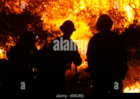 Ojai, Kalifornien, USA. Dezember 2017. Die Feuerwehrleute der CAL Fire Häftlinge zünden ein kontrolliertes Feuer an, um dem Thomas Feuer Treibstoff zu entziehen, das in das nördliche Ende von Camp Ramah im Westen von Ojai führt. Quelle: Neal Waters/ZUMA Wire/Alamy Live News Stockfoto