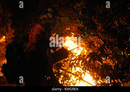 Ojai, Kalifornien, USA. 7 Dez, 2017. cal fire Insasse Feuerwehrmänner Licht ein kontrollierter Brand die Thomas Brand von Kraftstoff in das nördliche Ende des Lagers Rama in Western Ojai führenden zu berauben. Credit: Neal Gewässer/zuma Draht/alamy leben Nachrichten Stockfoto