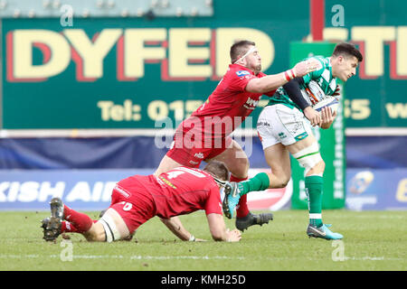 Scarlets v Benetton Rugby in einem Europäischen Rugby Championship Match im Parc y Scarlets Stockfoto