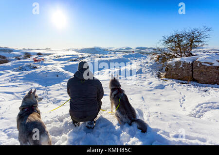 Flintshire, North Wales, UK Wetter. Strahlend blauer Himmel kehrt nach einem Tag Schnee für viele Teile in Wales. Ein Wanderer mit Huskies nimmt in der Ansicht auf einem Spaziergang über Halkyn Berg mit Schnee bedeckt Clwydian Hügel an, der in der Entfernung Entfernung nach Sturm Dylan Stockfoto