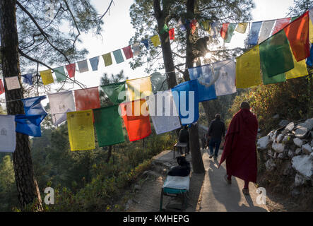 Tibetischen Mönch Spaziergänge unter Gebetsfahnen in Mcleod Ganj, Indien Stockfoto