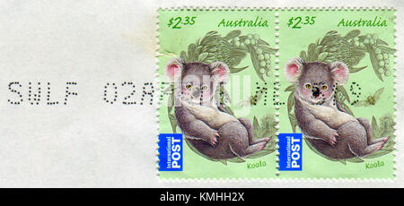 GOMEL, WEISSRUSSLAND, 5. DEZEMBER 2017, Briefmarke gedruckt in Australien zeigt Bild der Koala, um 2011. Stockfoto