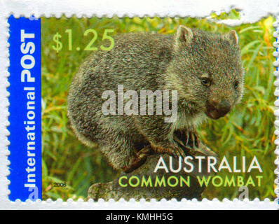 GOMEL, WEISSRUSSLAND, 5. DEZEMBER 2017, Stempel gedruckt in Australien zeigt Bild des Gemeinen Wombat, um 2006. Stockfoto